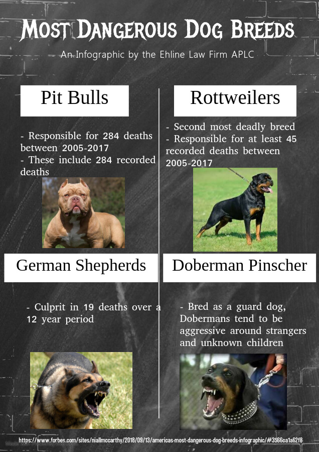 Most Dangerous Dog Breeds List | Are CDC Numbers Proof, or Just a Fluke?