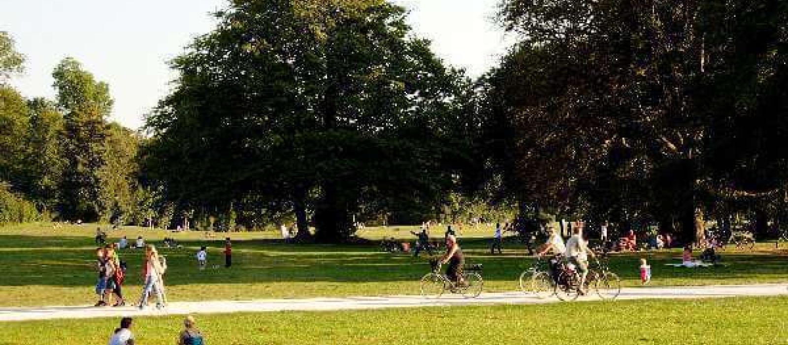 Griffith Park bicycle riding area